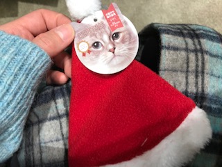セリア クリスマス