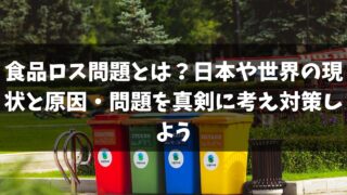 食品ロス